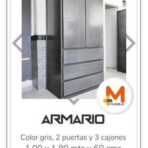 Armario 2 puertas y 3 cajones, gris