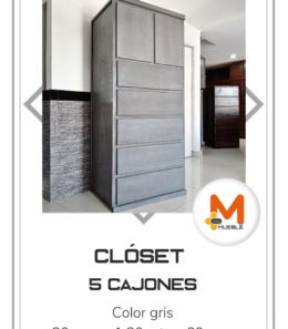 Clóset 5 cajones gris